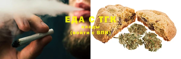 хмурый Аркадак