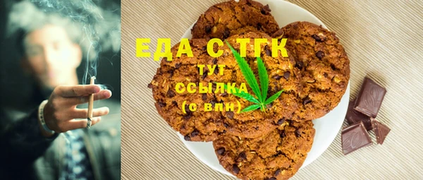 хмурый Аркадак