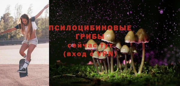 кокс Баксан