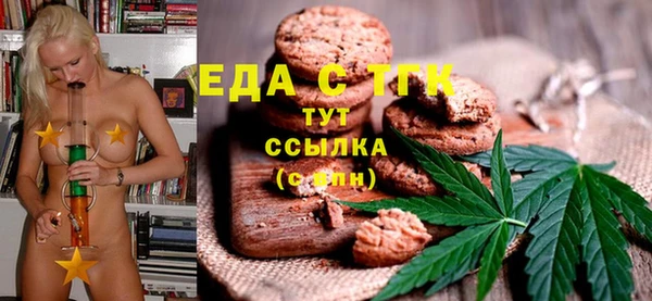 хмурый Аркадак