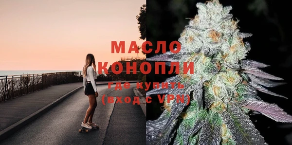 хмурый Аркадак