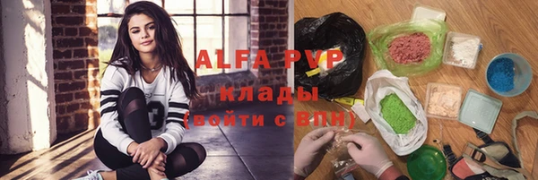хмурый Аркадак
