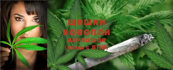 mdpv Белая Холуница