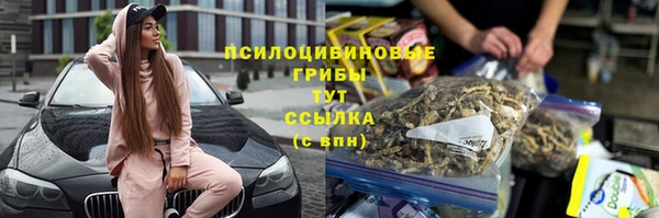 mdpv Армянск