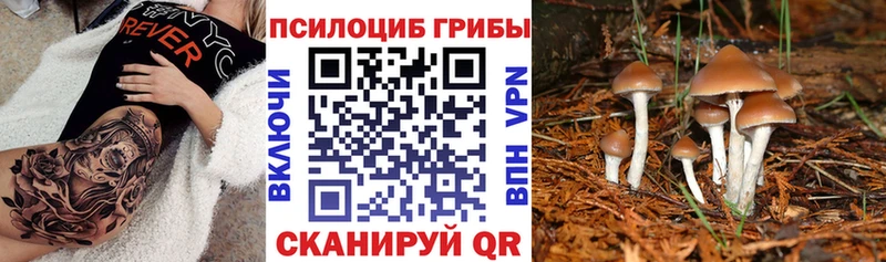 Псилоцибиновые грибы Magic Shrooms  ссылка на мегу вход  Всеволожск  купить наркоту 